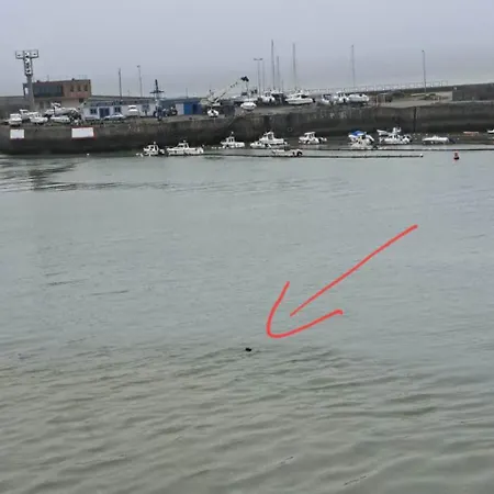 Apartmán O'3 Ports